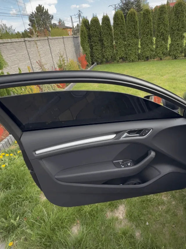 Taking a tint panel off and putting it back on